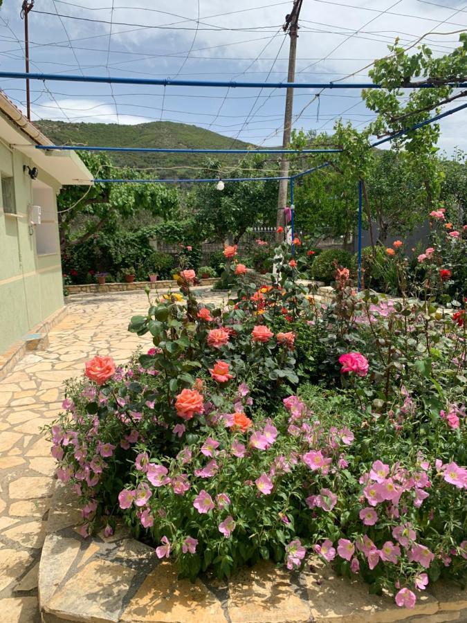 Vjosa Guest House Memaliaj Esterno foto